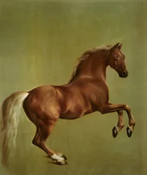Apito, 1762